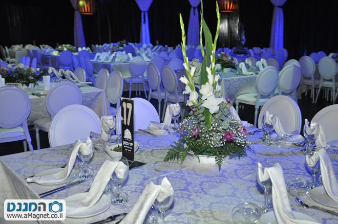 תמונה גדולה